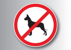 Запрет выгула собак на территории школы.